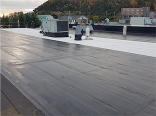 Elastomeric membrane roof